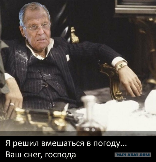 В Эстонии в грузе бананов обнаружили 3,5 тонны кокаина на полмиллиарда евро