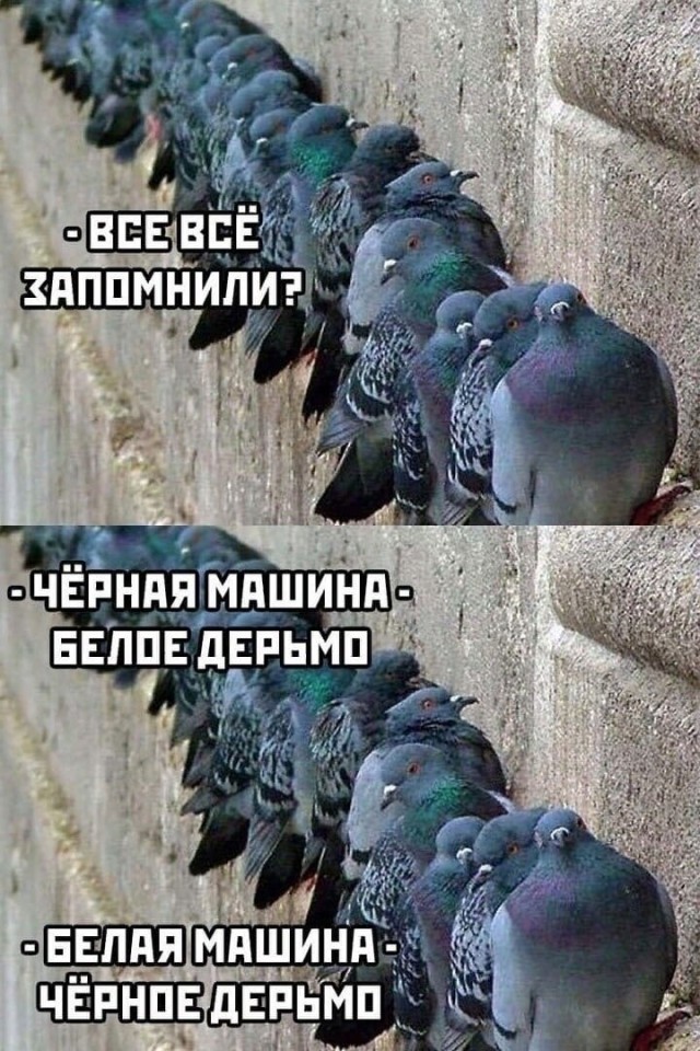 Так себе картинки 06.07.22