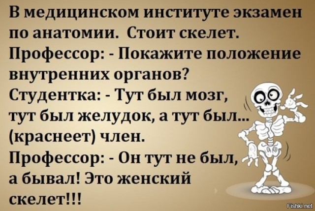 ЛГБТ+ наехало на археологов и антропологов