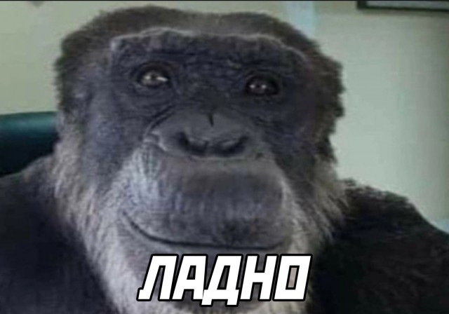 Не тут-то было