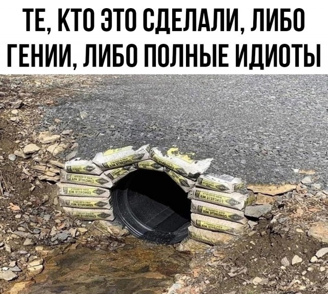 Весёлый полтишок 02.10.22