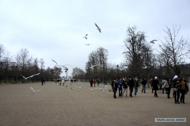 Автотур "Опять несет куда глаза глядятъ"