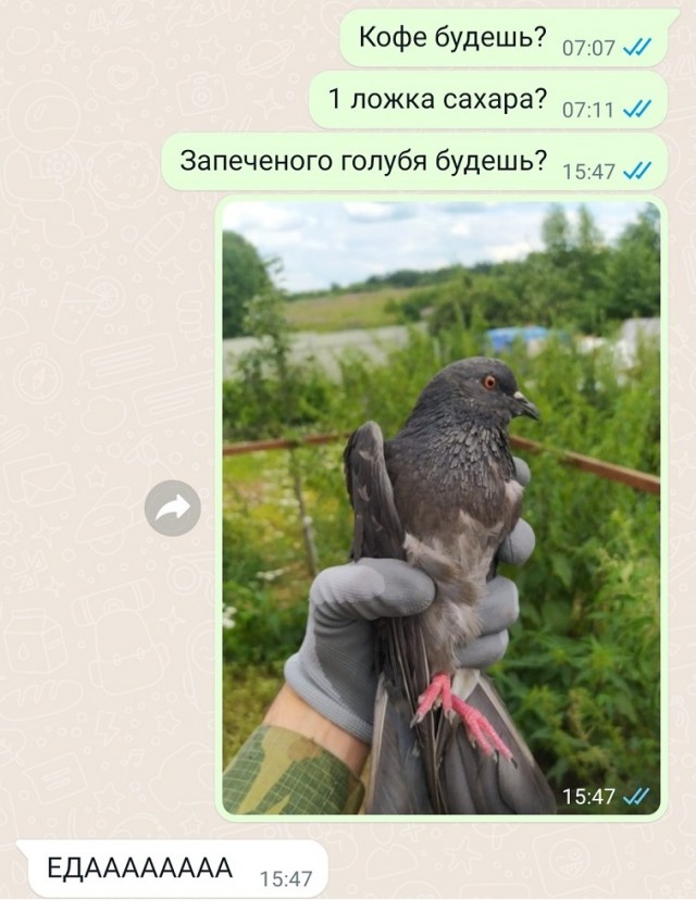 Утка по-пекински