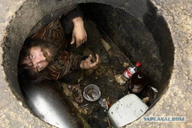 Мутные соседи.