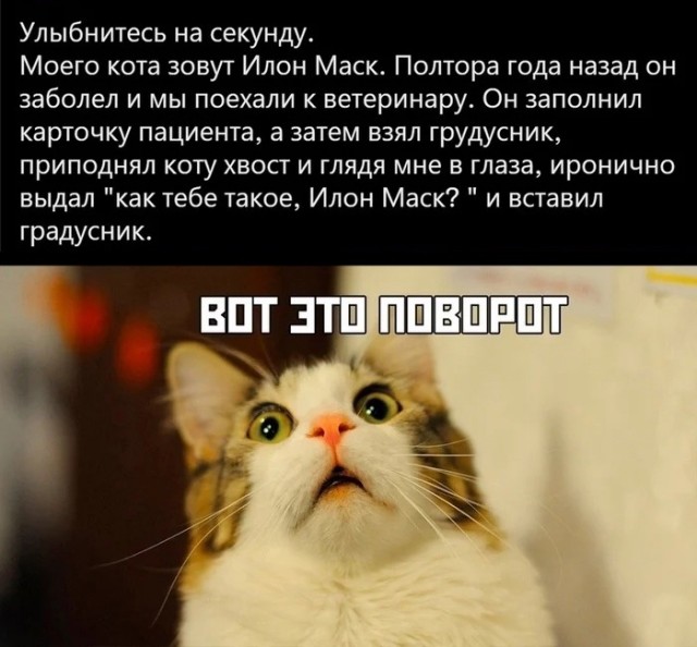 Так себе картинки 24.12.22