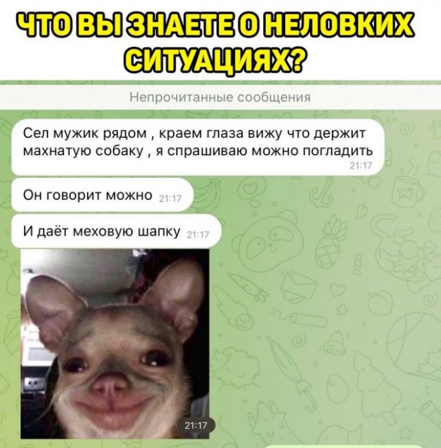 Картинки и мемы, всем хороших выходных