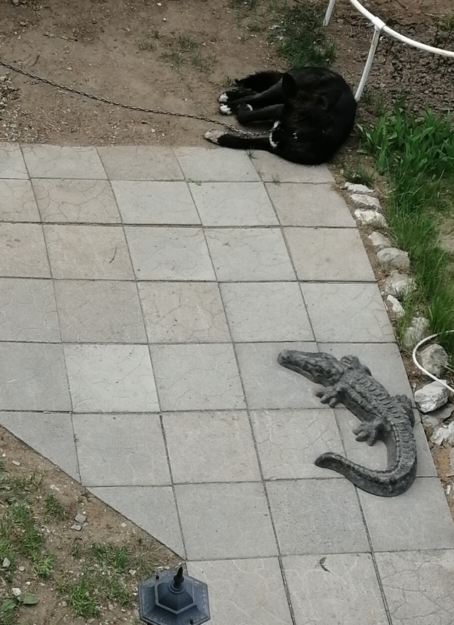 Ушло поколение нормальных женщин