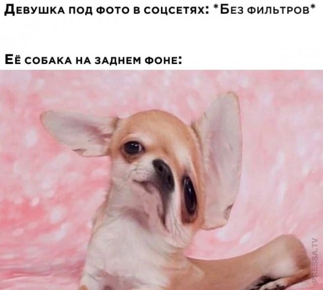 Просто картинки из сети