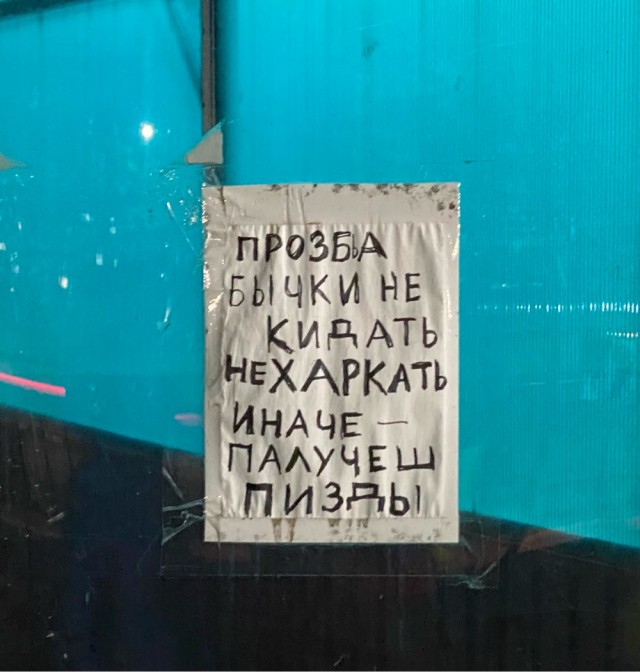 Перлы 02.11.23