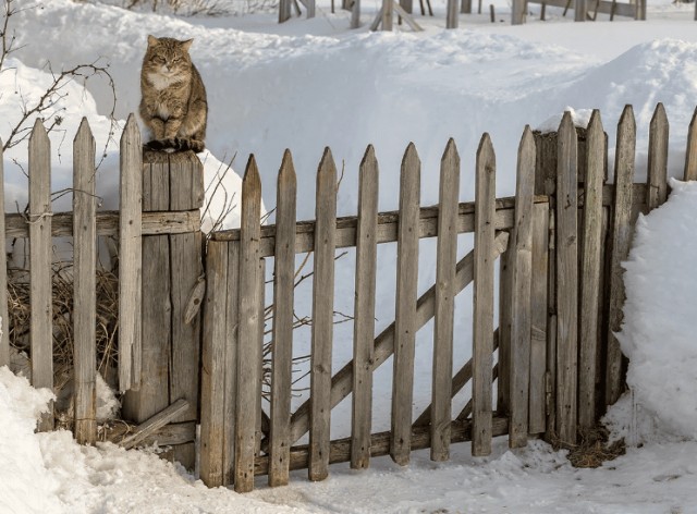 Почему забор моего дома выдержит любой ветер и снег?