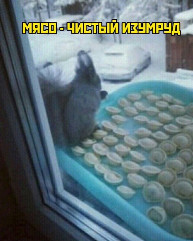 Весёлый полтишок 18.12.2023
