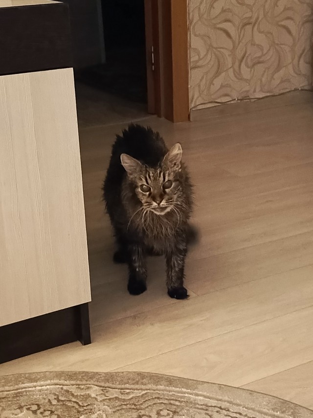 Хотите верьте, хотите нет