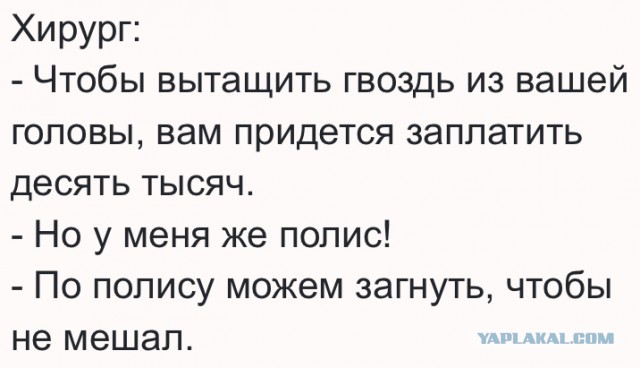Секретный эксперимент 1972 года был признан успешным: почему на Урале и в Сибири появились клещи