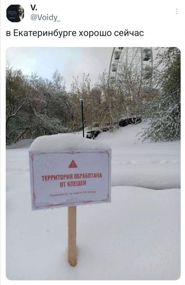 Так себе картинки 07.05.24
