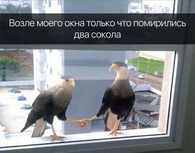 Завалялось тут случайно немного забавных картинок