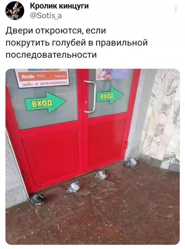 45 пятничных картинок 28.06.2024