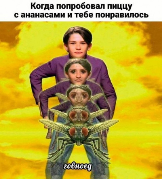 В Италии цену на гавайскую пиццу с ананасами подняли в 10 раз, чтобы её не покупали