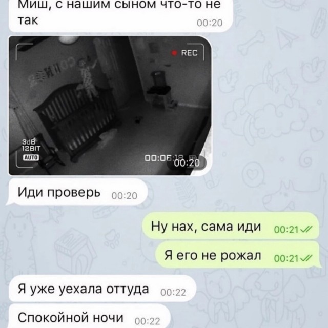Немного забавных картинок от 11.09.2024