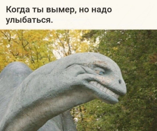 Прикольные и просто красивые картинки 27.09.2024