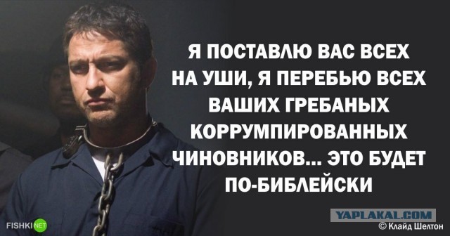 Законопослушный гражданин