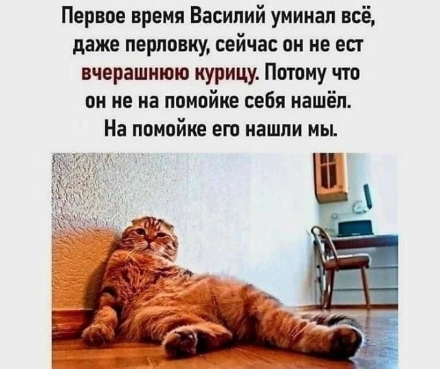 Так себе картинки 06.12.24