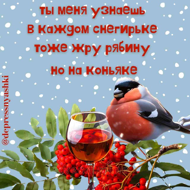 Картинки со стишками депресняшками - 7