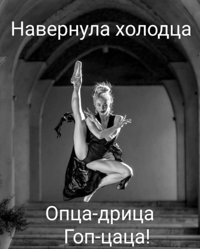 Немного забавных картинок от 22.12.24