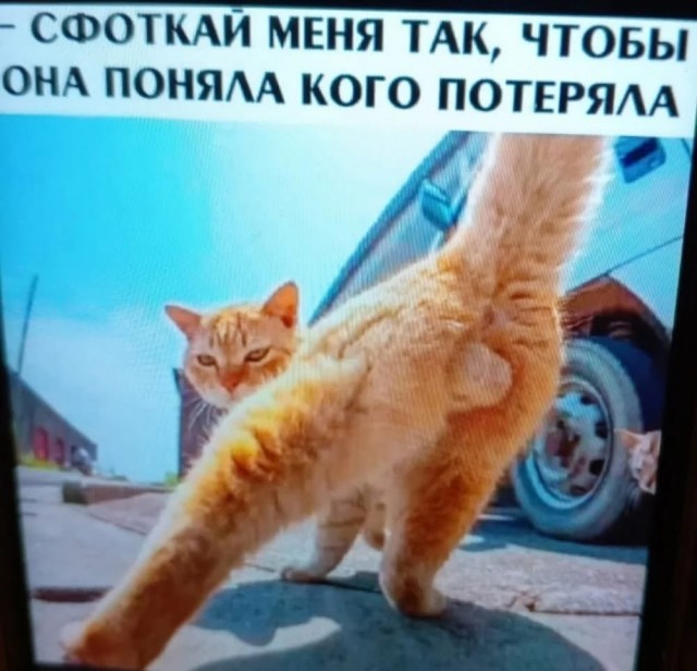 Завалялось тут случайно немного забавных картинок