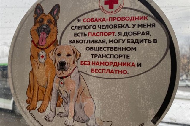 В Красноярске овчарка 2,5 часа слушала Чайковского на концерте