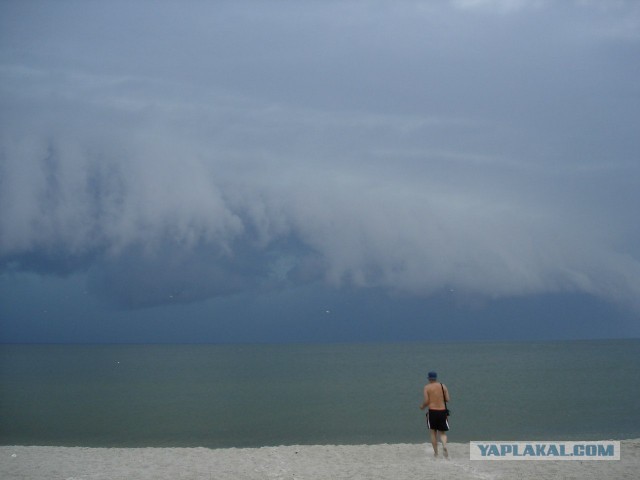 Скоро, скоро грянет буря!