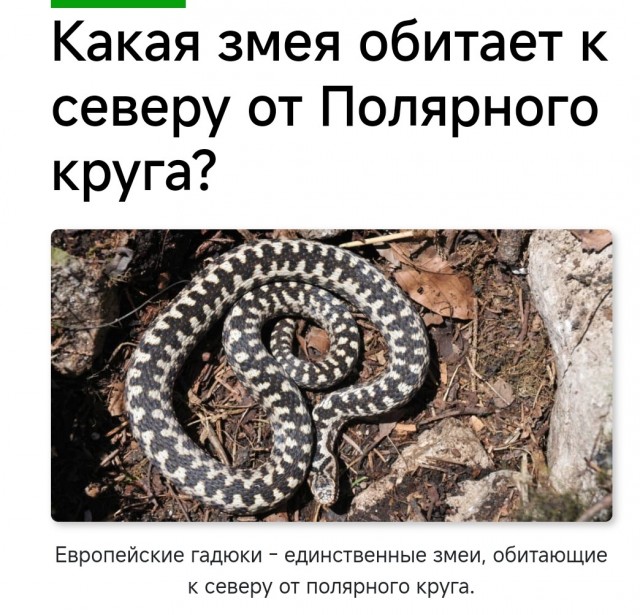 Кого и почему на самом деле стоит опасаться в тундре