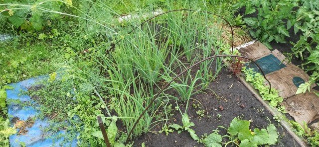 У всех бед одно начало