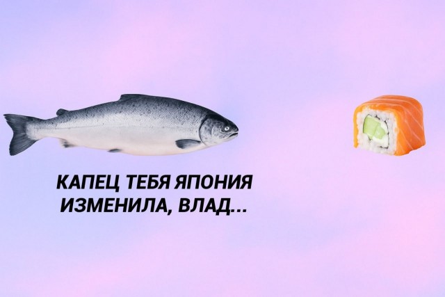 Картинки для деградации 24 (разной степени свежести)
