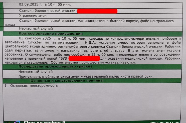 Когда недодушил змея.