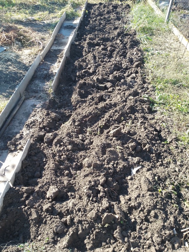 Мальчишки и Девчонки!