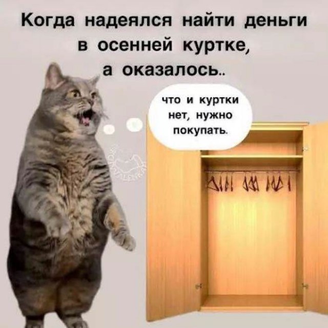 Веселые картинки в пятницу (14.11)