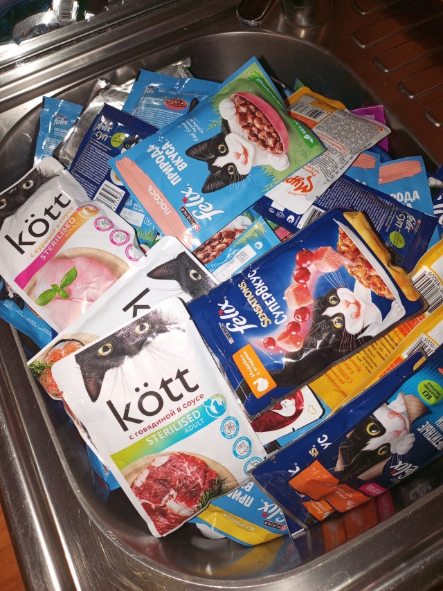 Кото-командировка и немного лета в лирическом отступлении.