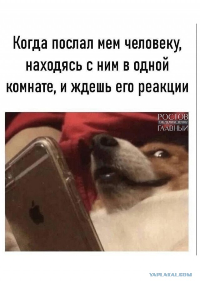Разной свежести картинки