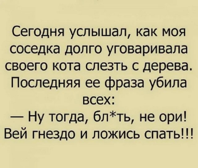 Так себе картинки 07.12.25