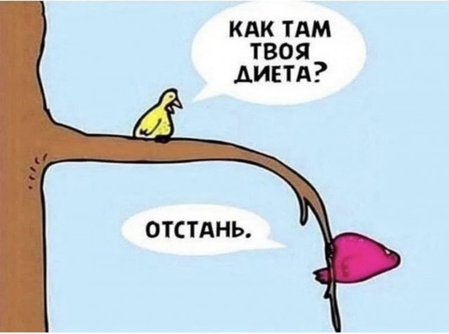 Подруга петуха в замедленном действии