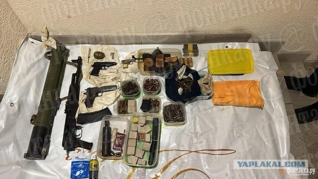 В Петербурге у обвиняемых в убийстве депутатов нашли схрон оружия