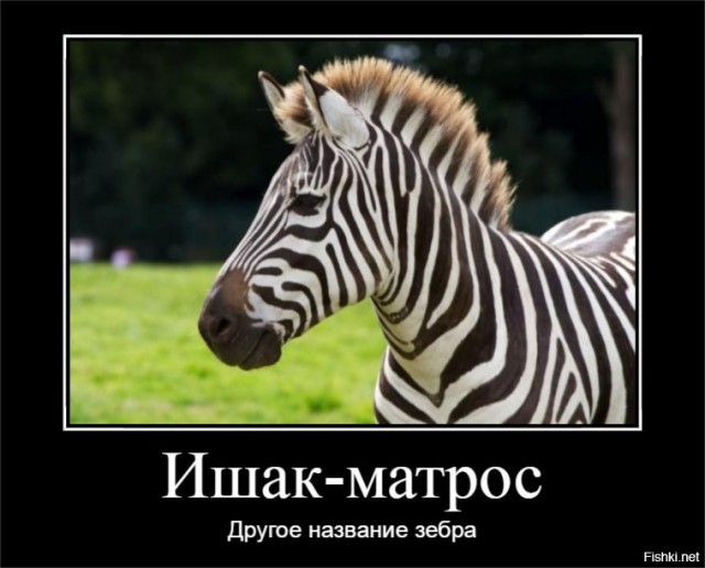 Ослов под зебр затюнинговал бизнесмен из Казахстана.