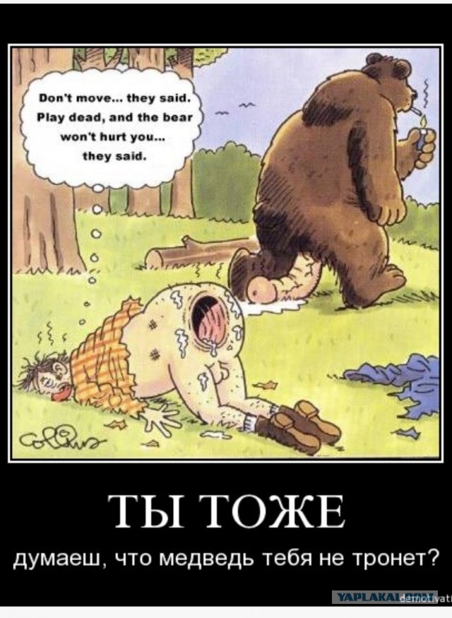 Никаких правил. Только сила. Только выживание.