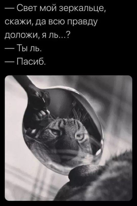 Картиночки, баянчики 15 июня