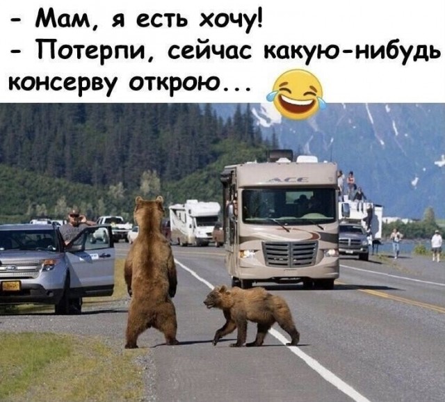 Картинки для деградации 251 (разной степени свежести)