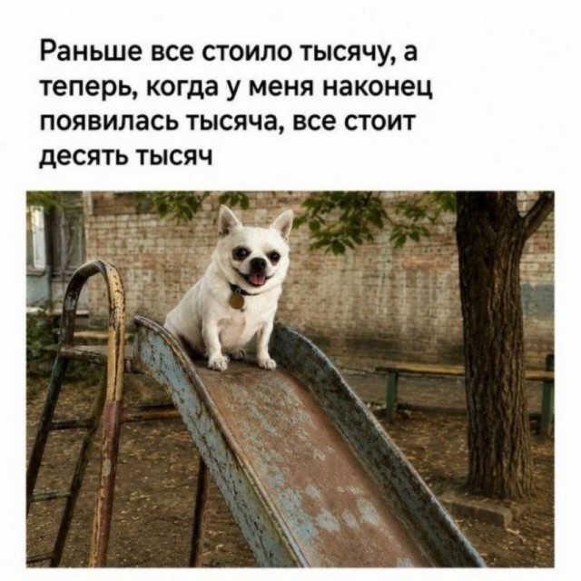 Контент для невзыскательной аудитории
