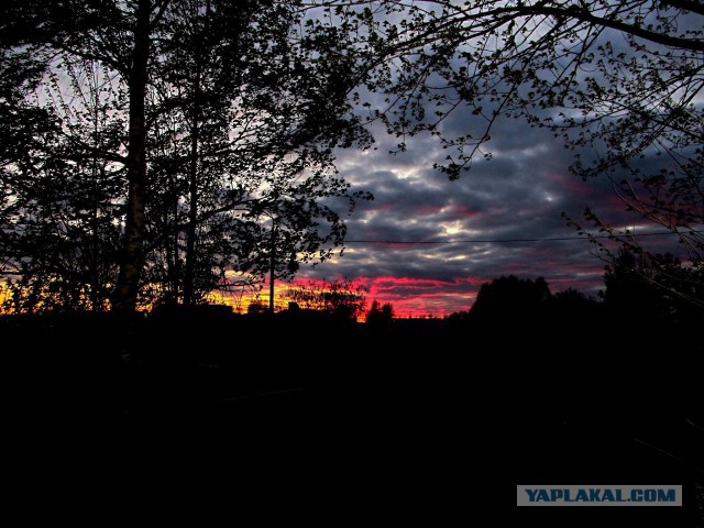 Красота природы не зависит от....