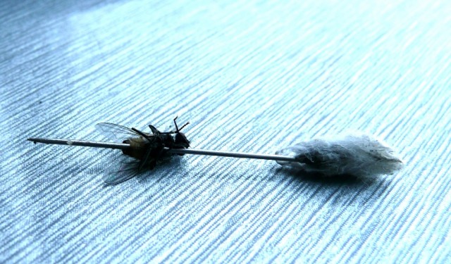 Бытовые предметы очень крупным планом