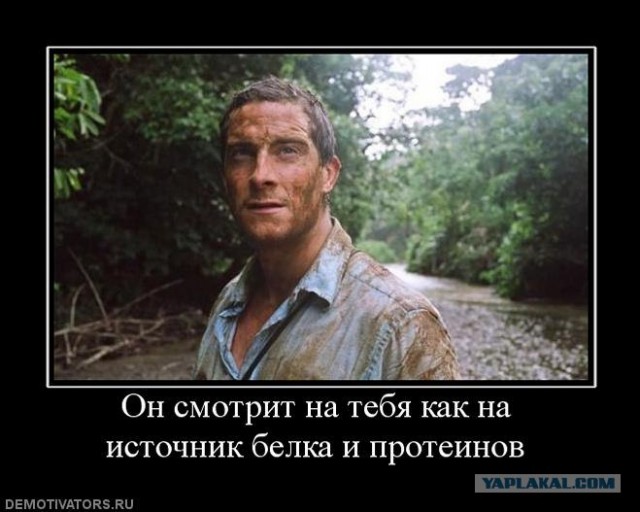 Выжить на севере: кожаная майка