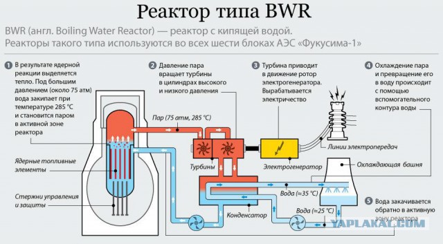 Интересно мнение о  Запорожской АЭС